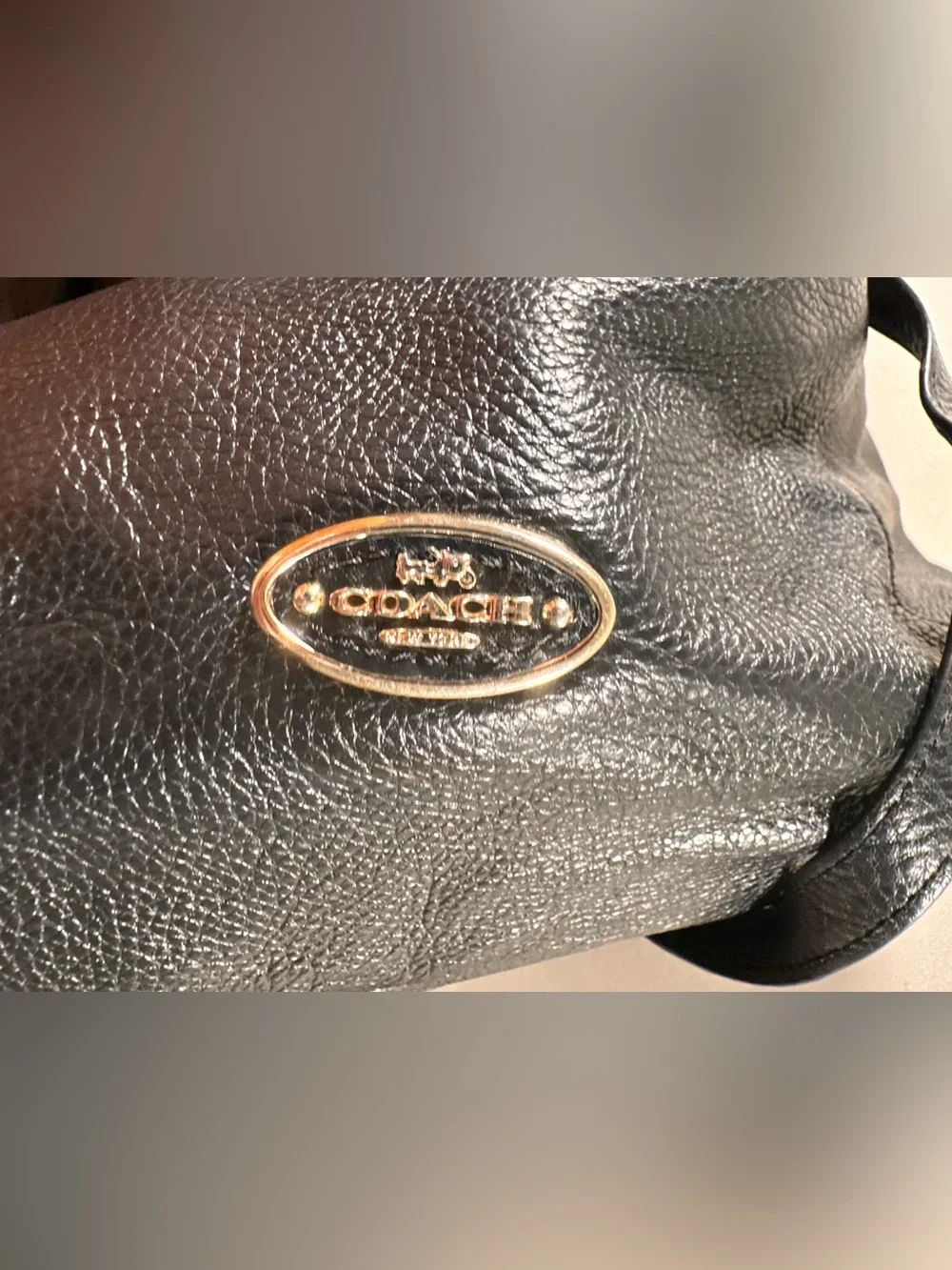 Coach Isabelle Hobo Black Pebbled Leather Crossbody Handbag Retro Y2K Gothcore